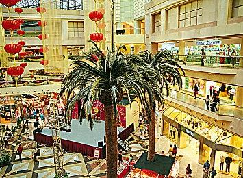 甜咸大战？！一粽即发！各类限定好礼等你来拿